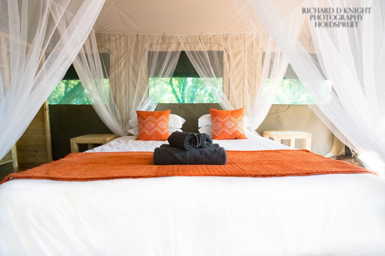 Southern Sands Eco Lodge Hoedspruit Exteriér fotografie