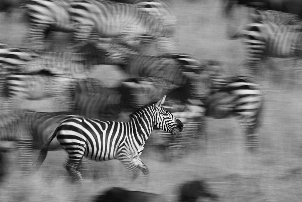 Southern Sands Eco Lodge Hoedspruit Exteriér fotografie