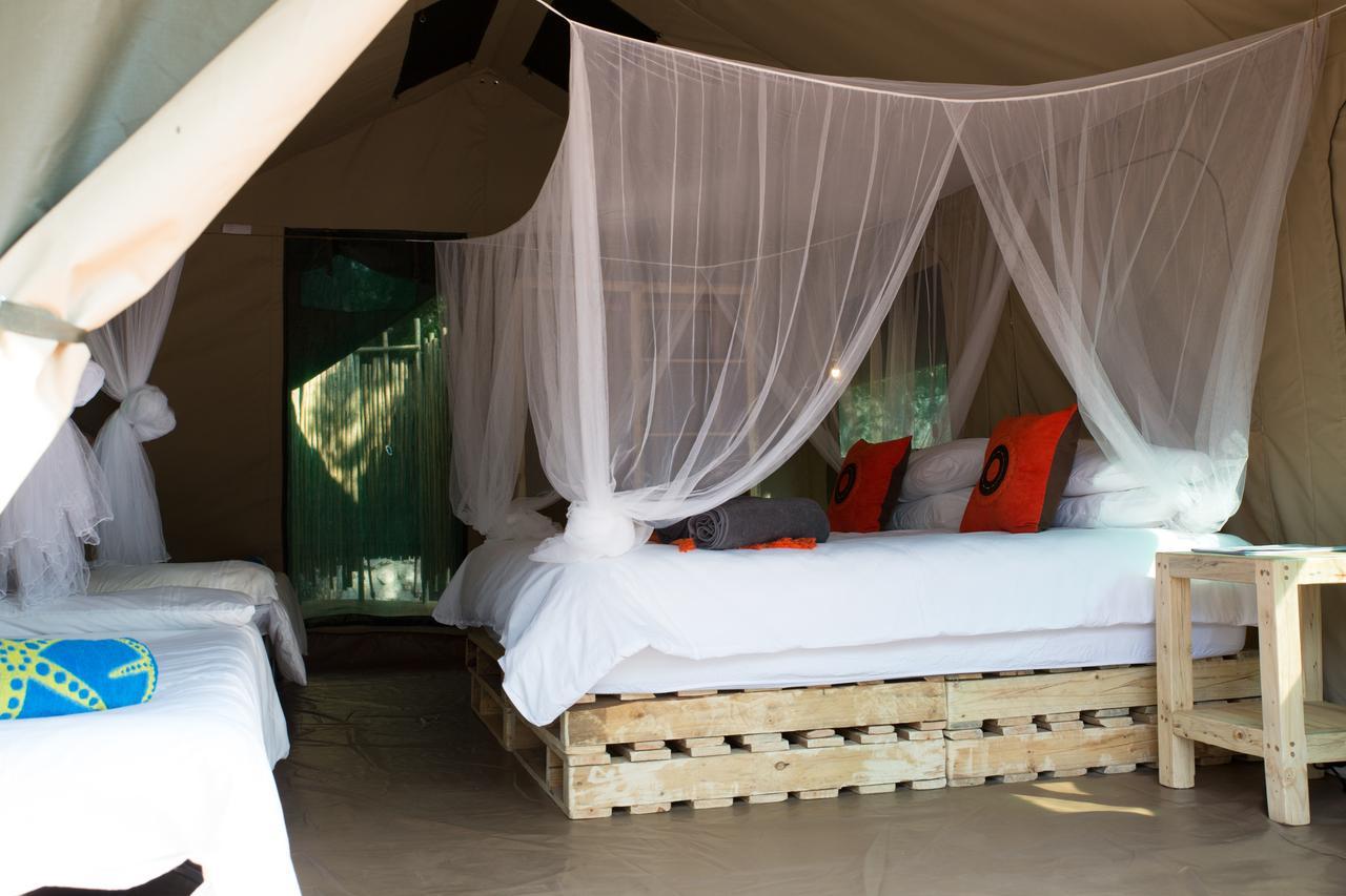 Southern Sands Eco Lodge Hoedspruit Exteriér fotografie