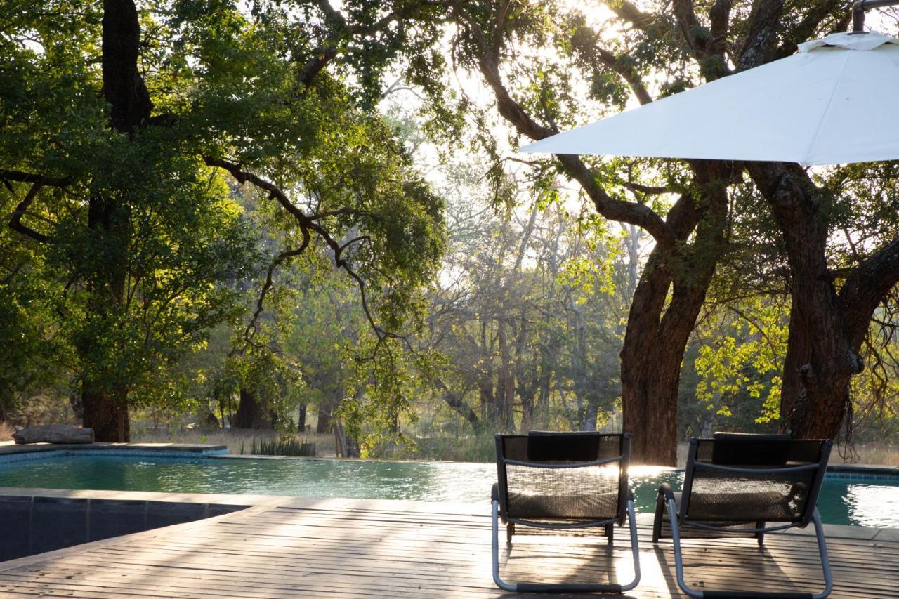 Southern Sands Eco Lodge Hoedspruit Exteriér fotografie